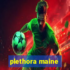 plethora maine